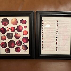 Framed Apple Art Prints